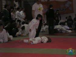 judo2011_13