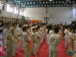 judo2011_14