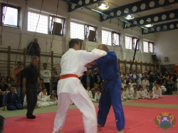 judo2011_34