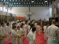 judo2011_9