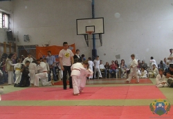 judo2011_7